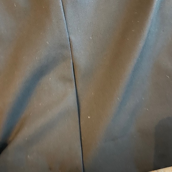 NWT THE LIMITED PENCIL SKIRT IN SIZE 6 - Picture 6 of 6